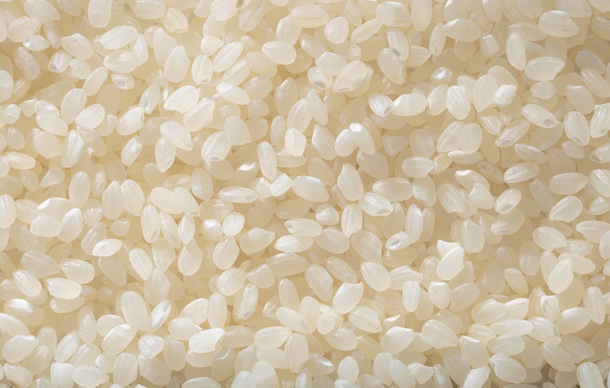 sushi rice